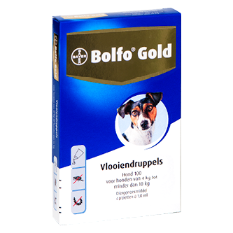 Bolfo Gold 100 hond<br>4 pipetten